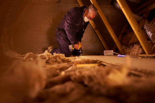 Best Eco-Friendly Insulation in USA